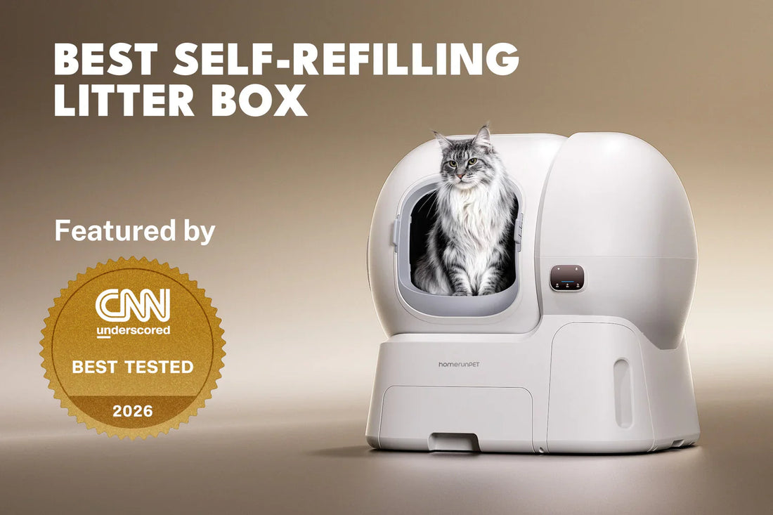 The World’s Largest Self-Refilling Litter Box: Is the Homerunpet CS106 Worth the Hype?