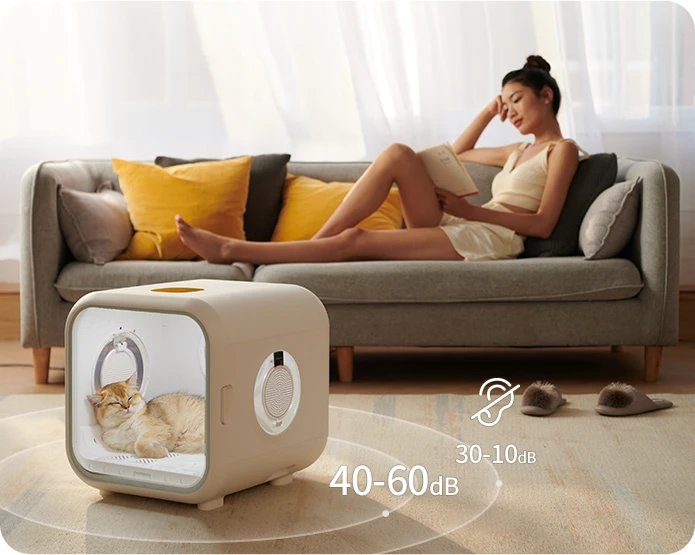 Why the Drybo Plus PD50 is a Game-Changer for Malaysian Pet Parents