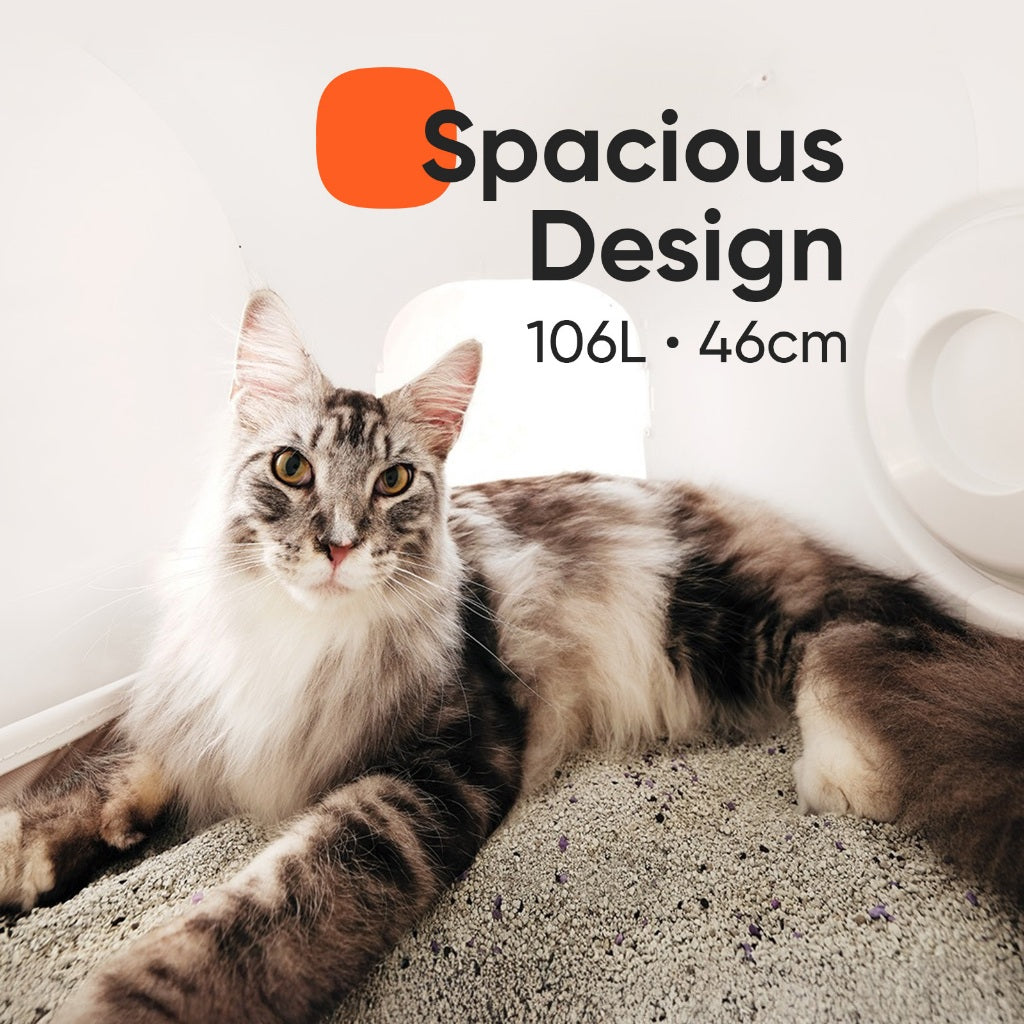 Self Cleaning Litter Box CS106