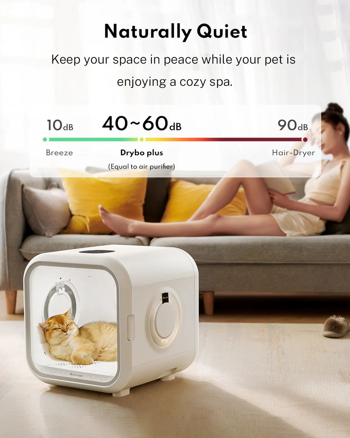 Smart Pet Dryer Box