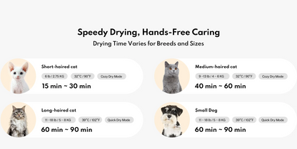 Smart Pet Dryer Box