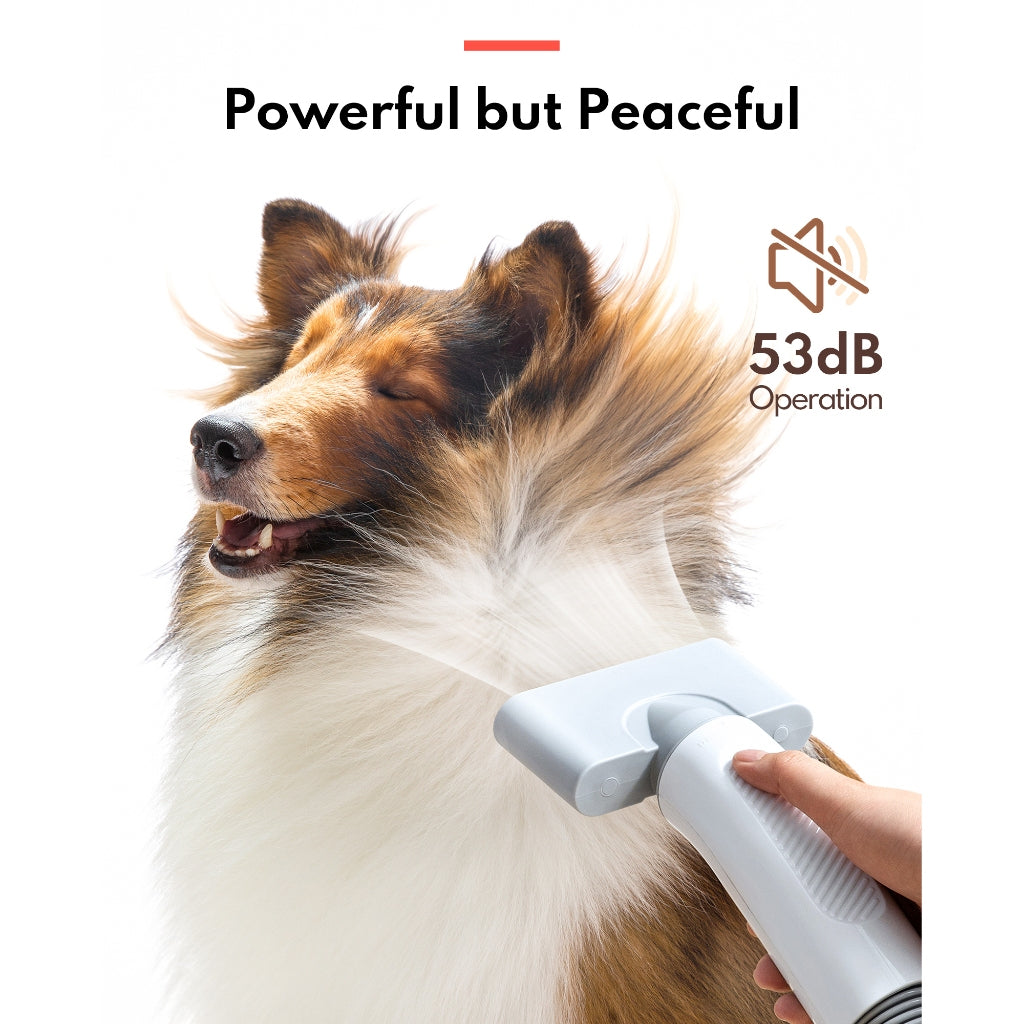 Pet Hair Force Dryer PD10