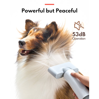Pet Hair Force Dryer PD10