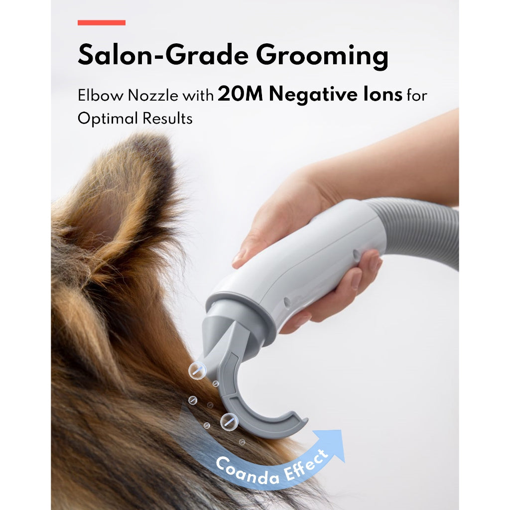 Pet Hair Force Dryer PD10